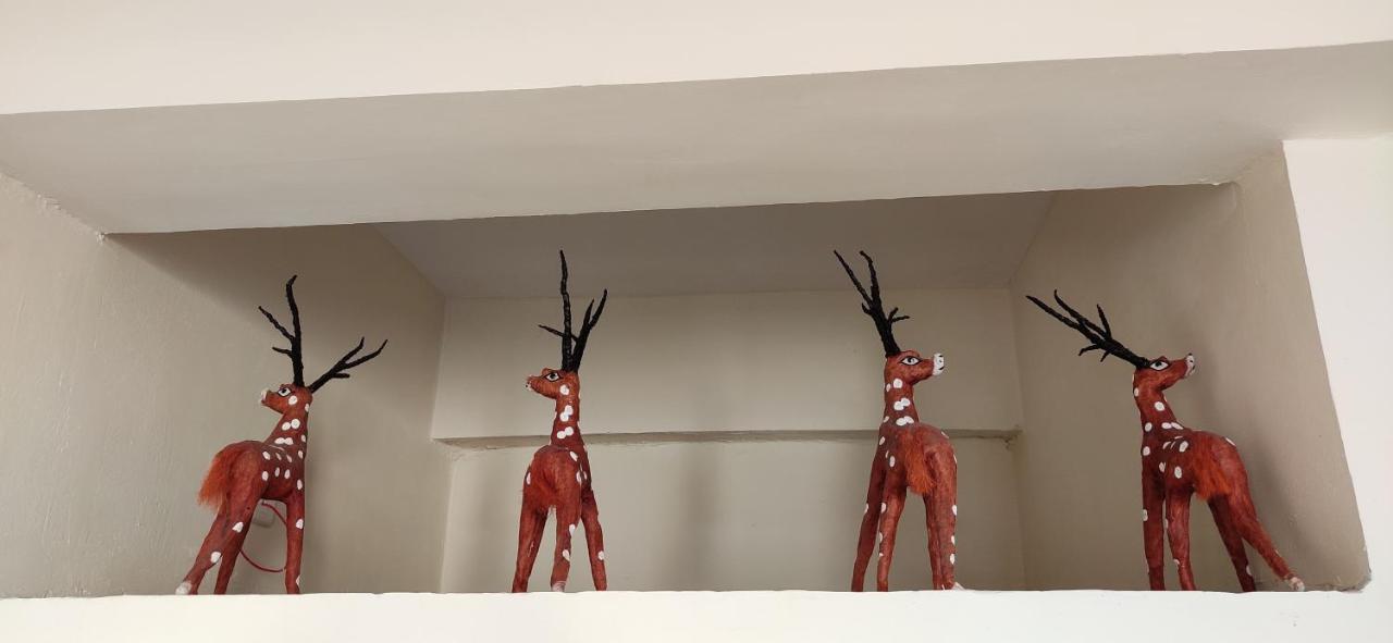 Love & Peace Apartment ジャバルプル エクステリア 写真